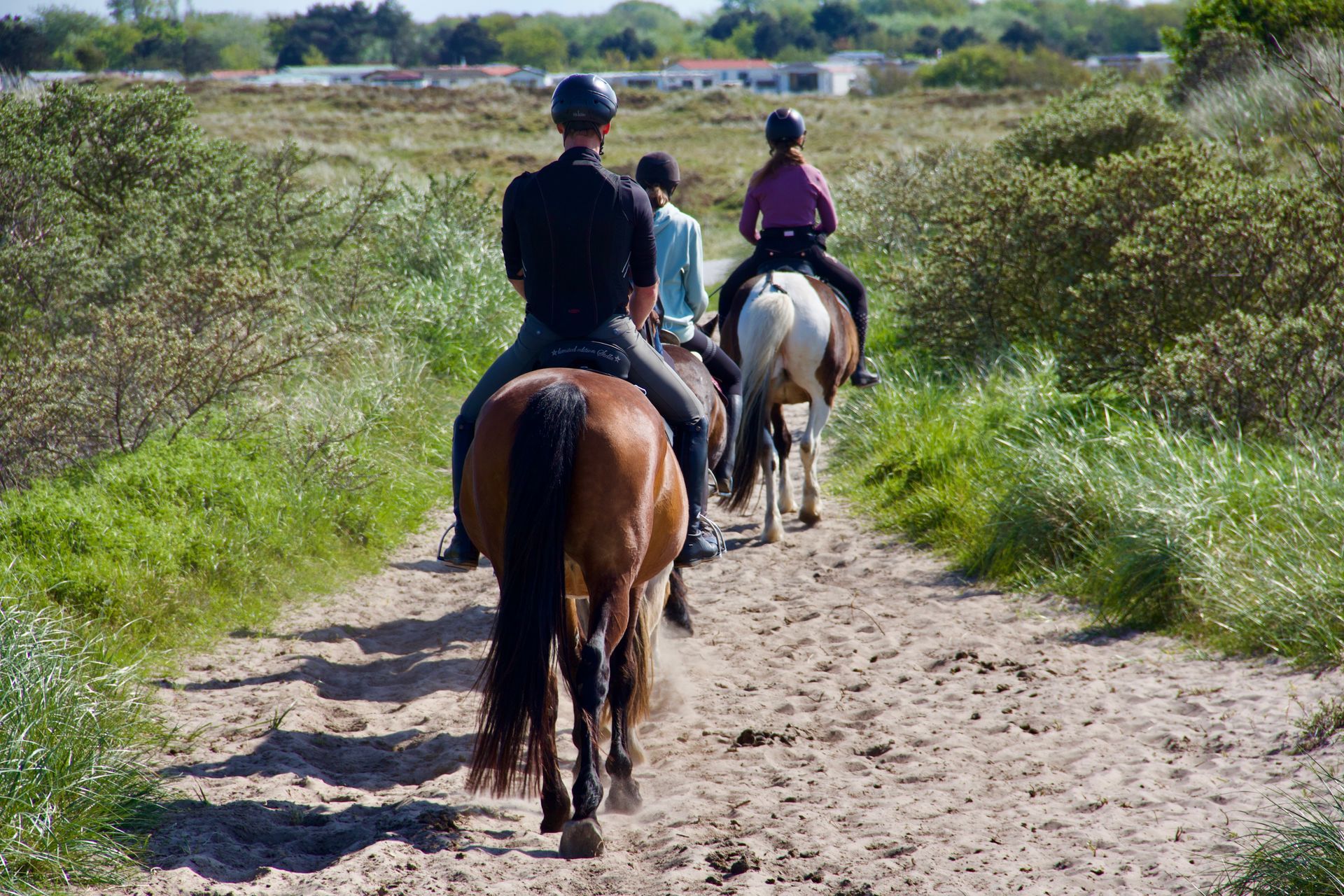 Gevorderder ruiters rijden door de duinen van Ameland met ervaren begeleider.