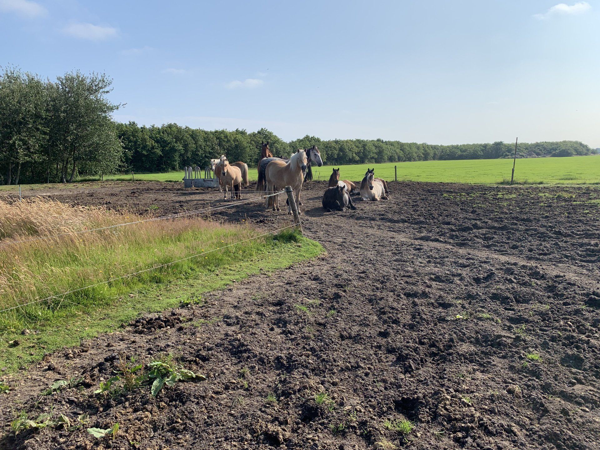 Sfeerbeelden