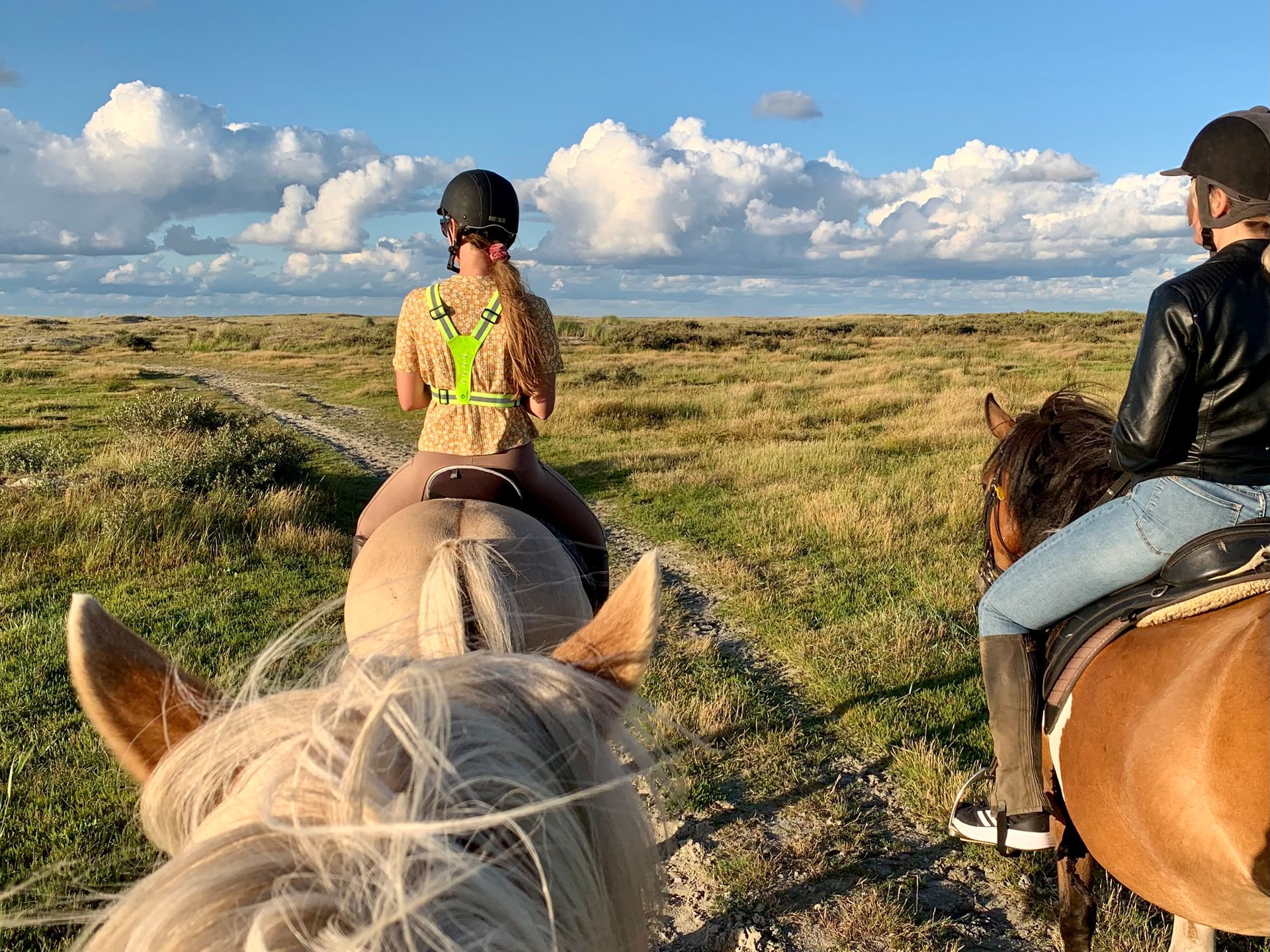 Strandritten op Ameland: Welke is voor mij geschikt?