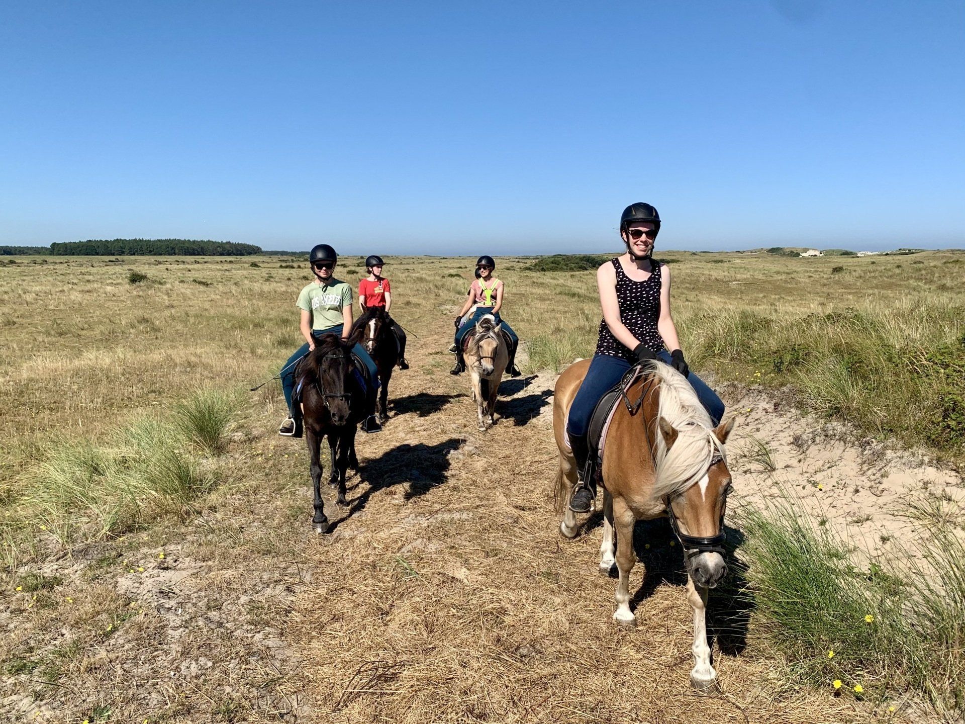Dagtocht te paard op Ameland met een groep ruiters bij Hollumer Trap door het Hagedoornveld.