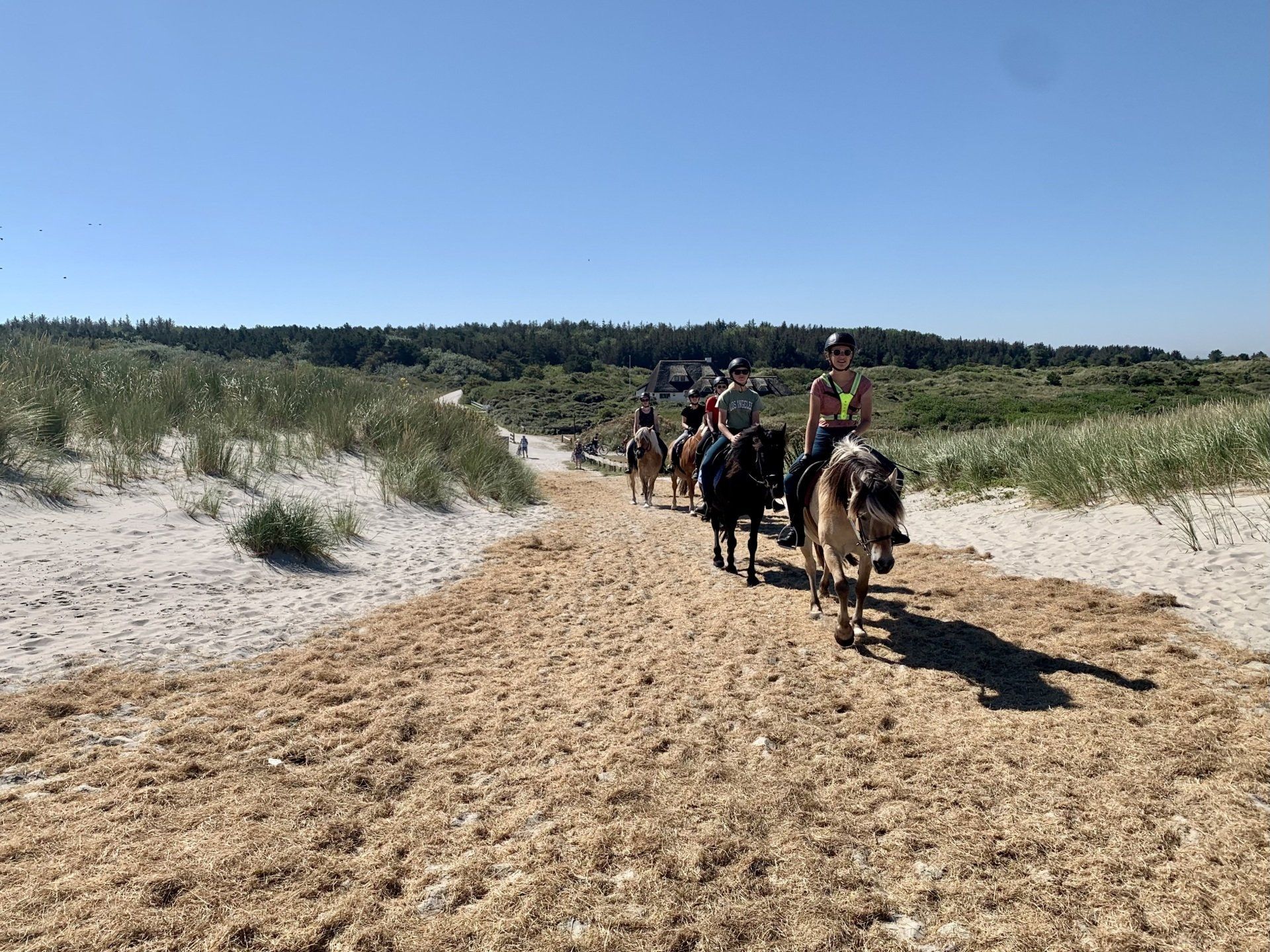 Dagtocht te paard op Ameland met een groep ruiters bij Hollumer Trap door de duinen.