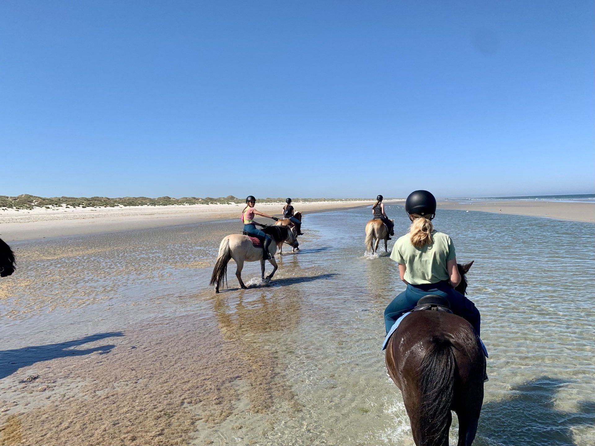 Dagtocht te paard op het strand van Ameland met een groep ruiters bij Hollumer Trap.