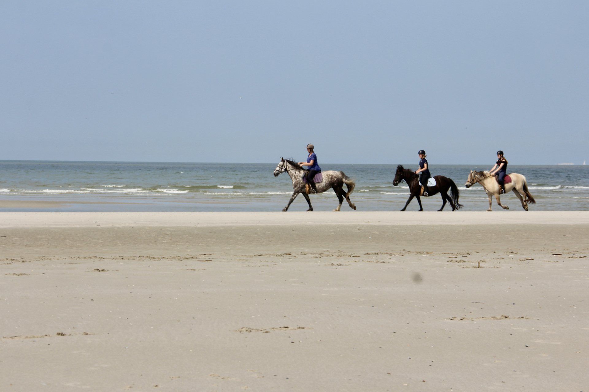 Drie ruiters te paard op een zandstrand vlakbij de oceaan onder een heldere hemel.