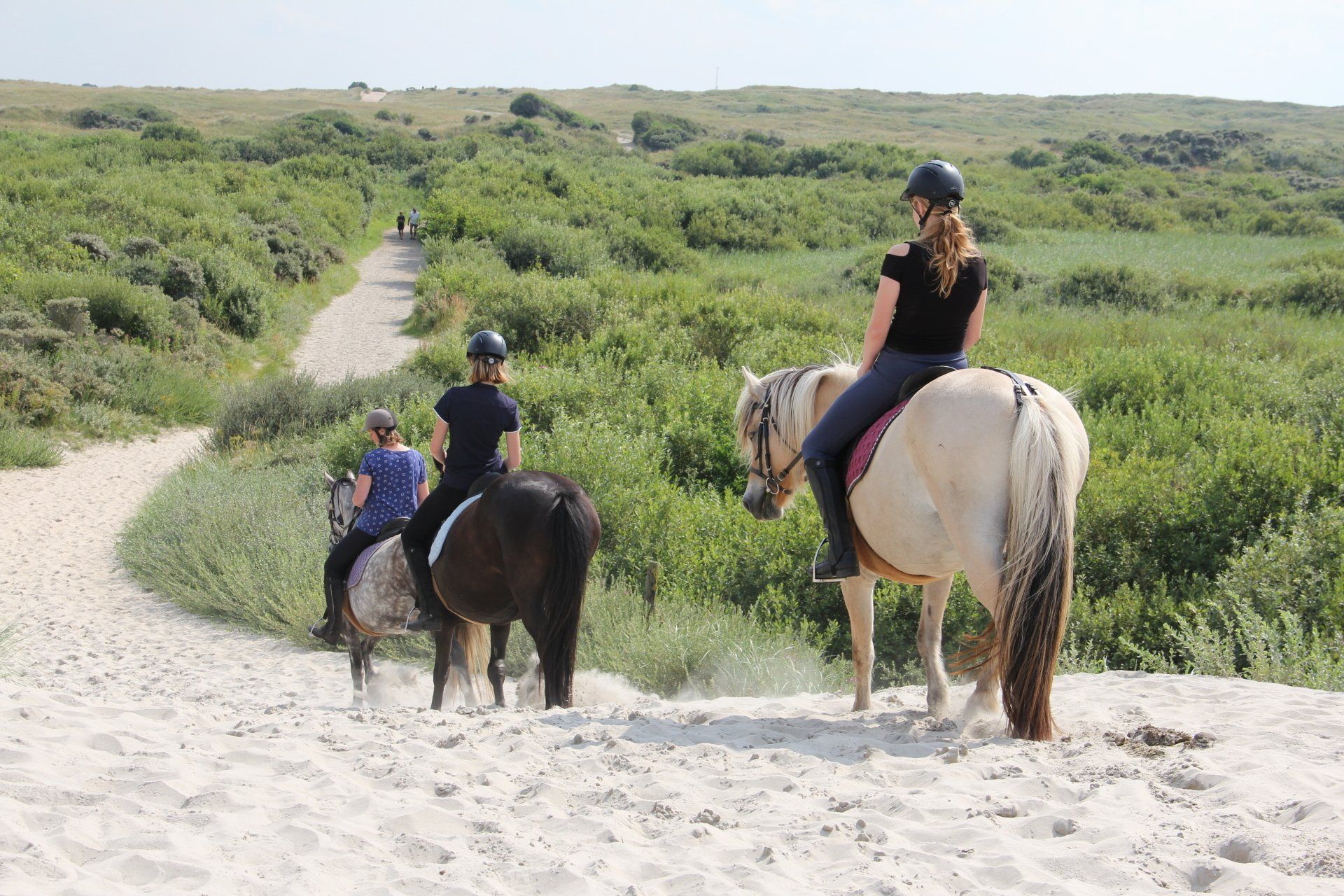 Ruiterweekend of ruitervakantie op het strand van Ameland.