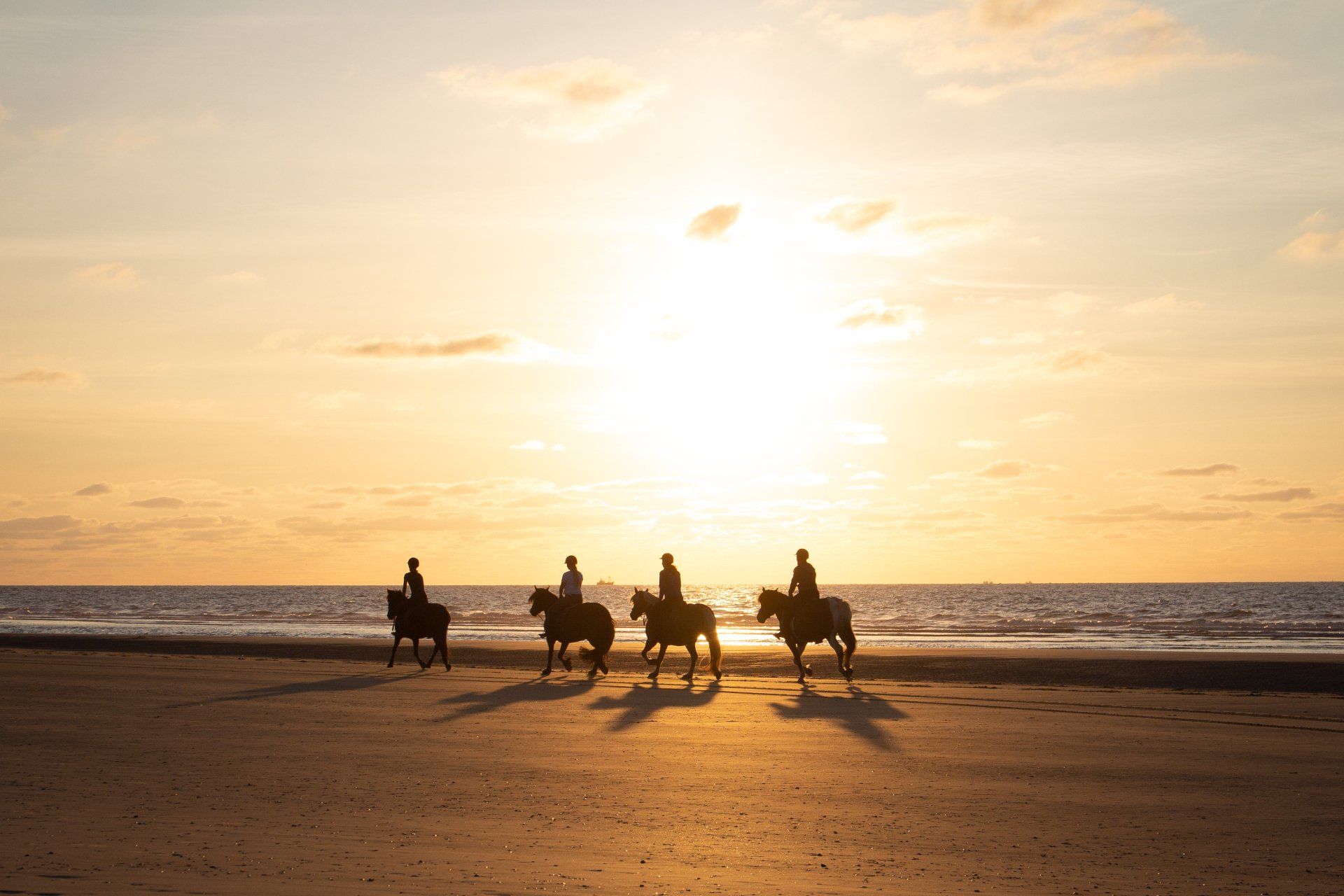 Gevorderde ruiters rijden tijdens zonsondergang over het strand van Ameland met ervaren begeleider.
