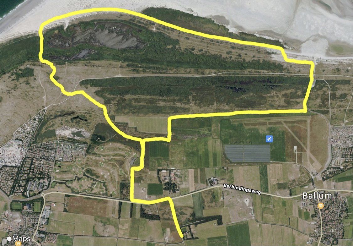 Luchtfoto: gele omlijning rond het kustgebied met strand, vliegveld en groene vegetatie.