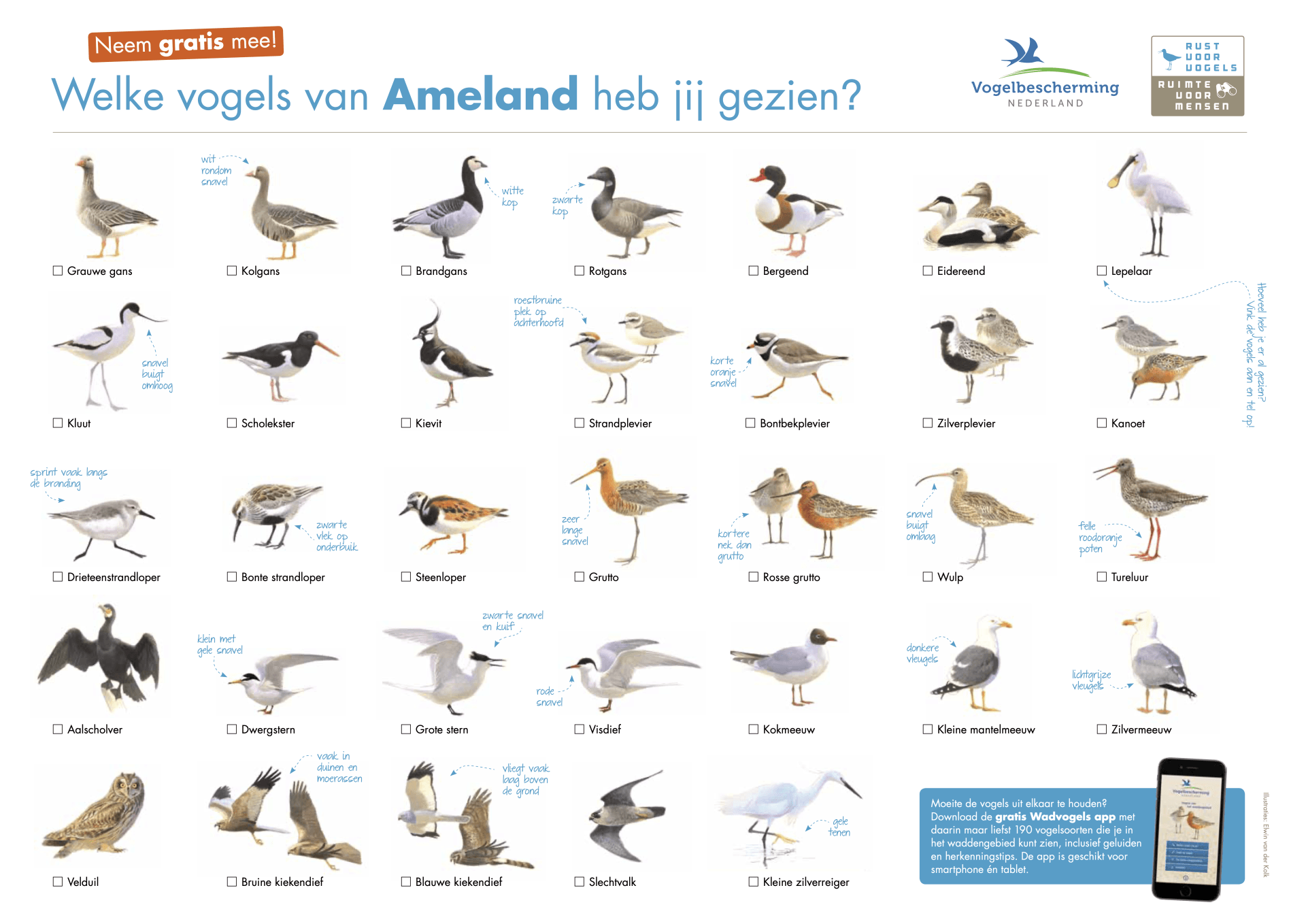 Vogelkaart Ameland Friese Waddenkust Vogelbescherming