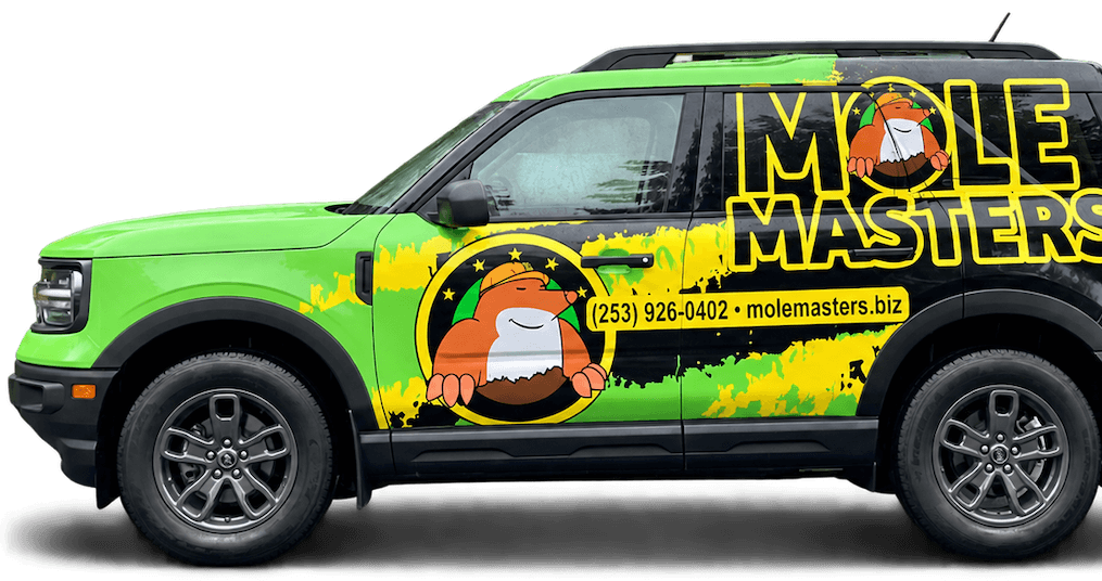 Green pest control truck with bold “Mole Masters” branding and cartoon mole graphic on the side.
