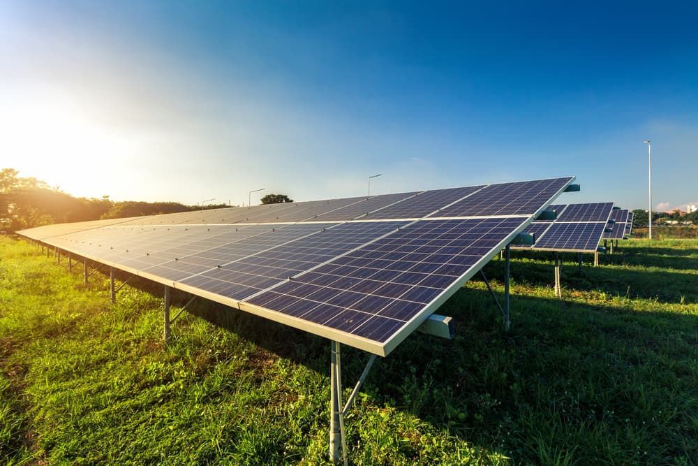 A Row Of Solar Panels Sitting On Top Of A Lush Green Field — David Lewis Solahart in Casino, NSW
