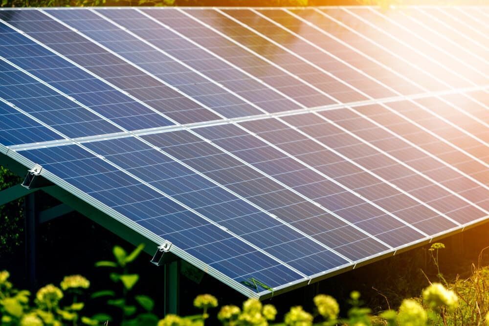 A Row Of Solar Panels Sitting On Top Of A Lush Green Field — David Lewis Solahart in Casino, NSW