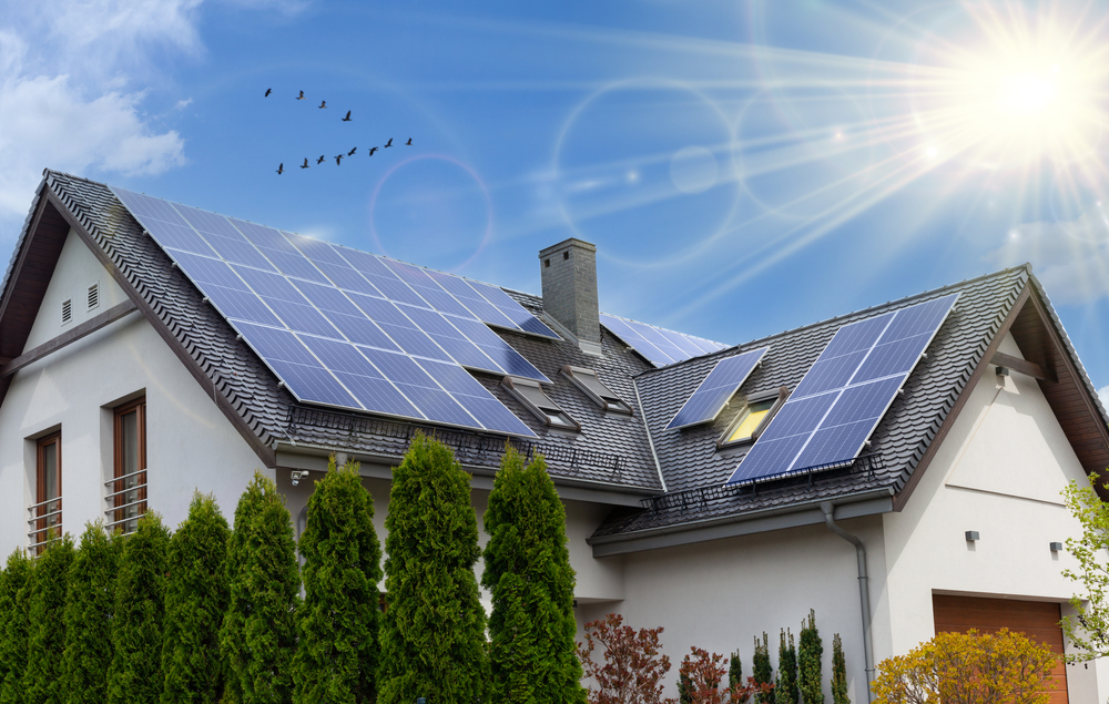 Solar Panel Cleaning Example 1