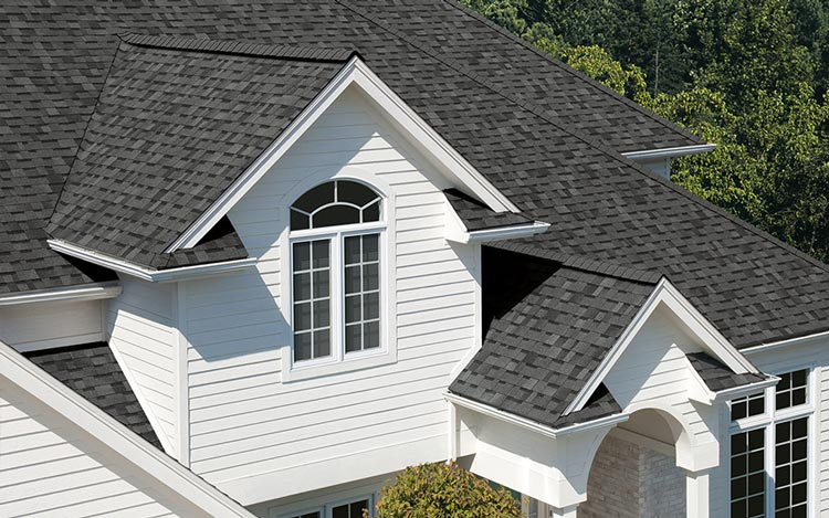 Roof Cleaning Example 2