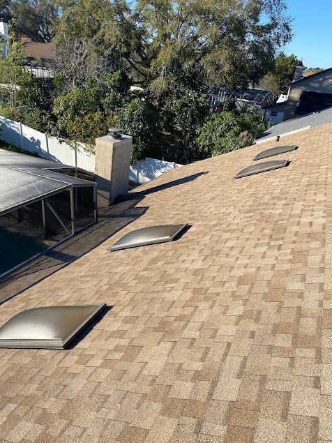 Tan shingle rooftop with several skylights, trees, and neighboring roofs in the background