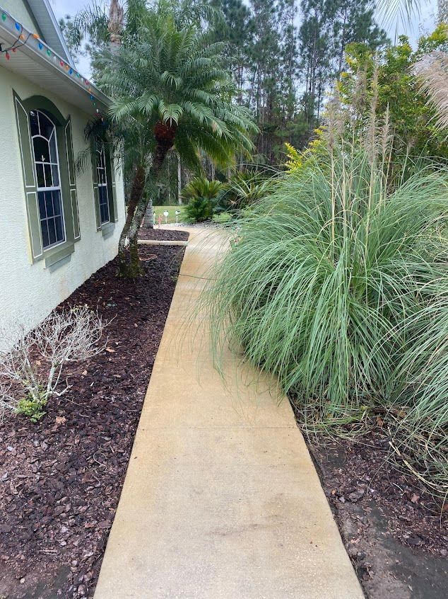 Narrow tan walkway beside a house, bordered by landscaping and lush green plants.