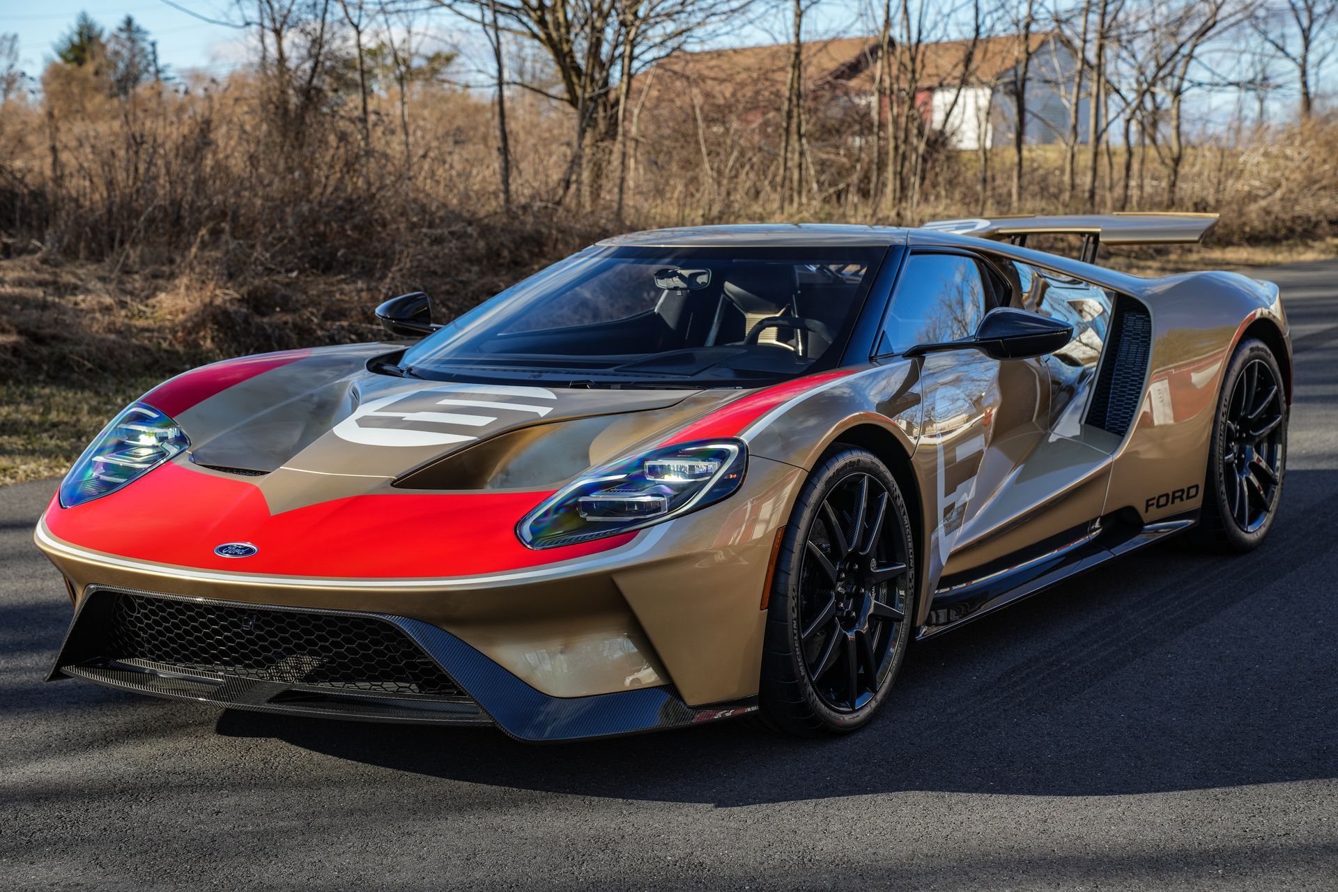a ford gt is parked on the side of a road .