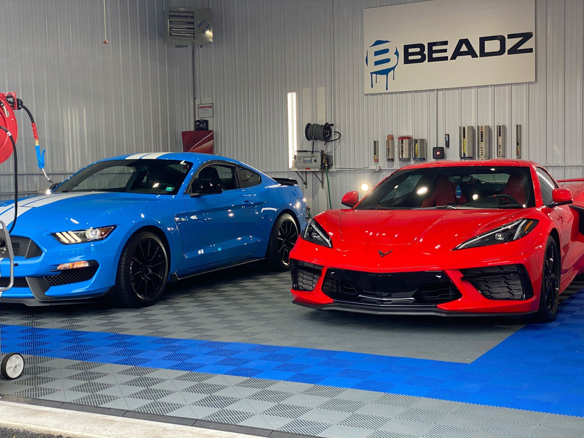 Professional auto detailing