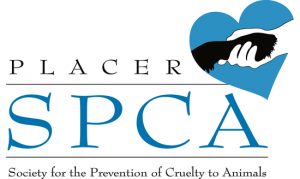 SPCA