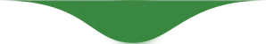 Green curve section divider Green curve section divider