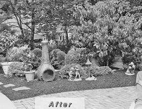 A black and white photo of a garden with a sign that says `` after ''.