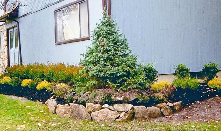 A house with a tree in front of it