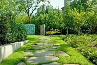A stone path going through a lush green garden.