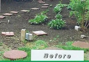 A picture of a garden with a sign that says before