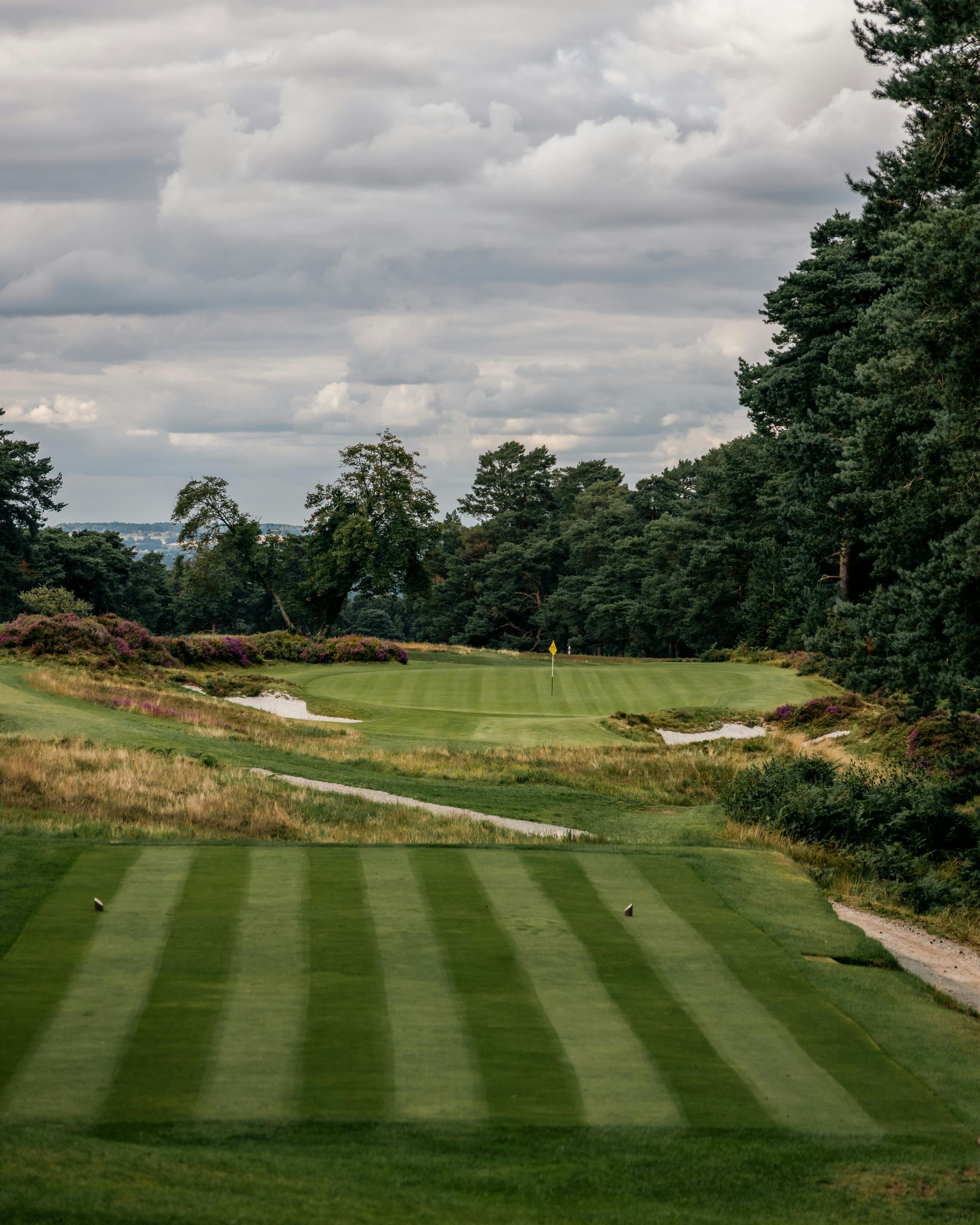 A winding paved path meanders through a lush, rolling green park landscape with scattered trees under a bright sky.