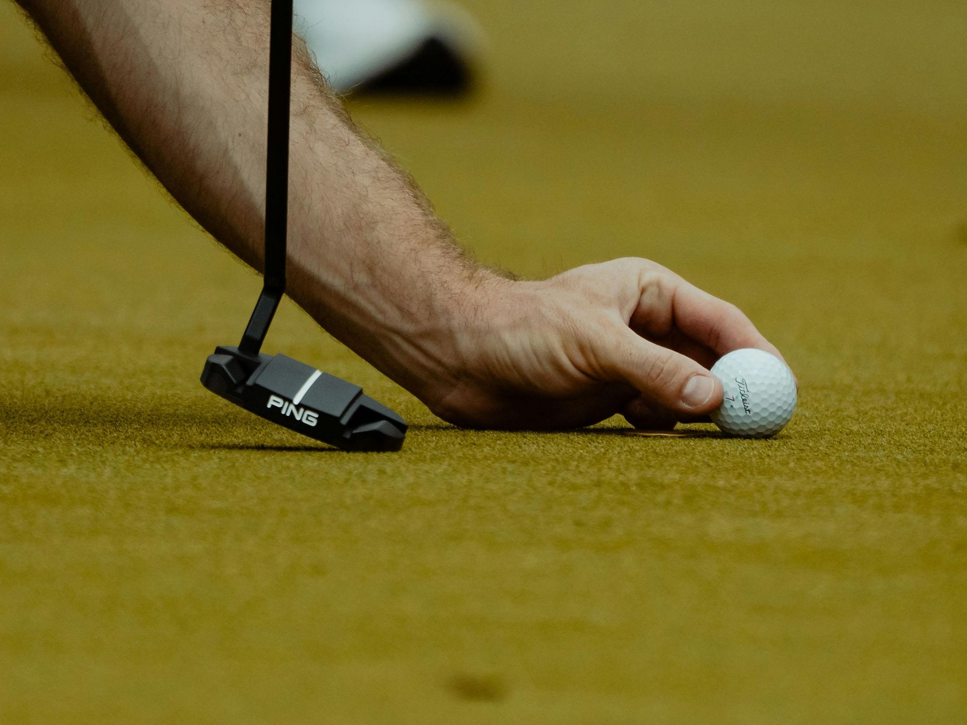 Golfer lines up a putt on a green. Hand holds the ball, putter head rests on ground.