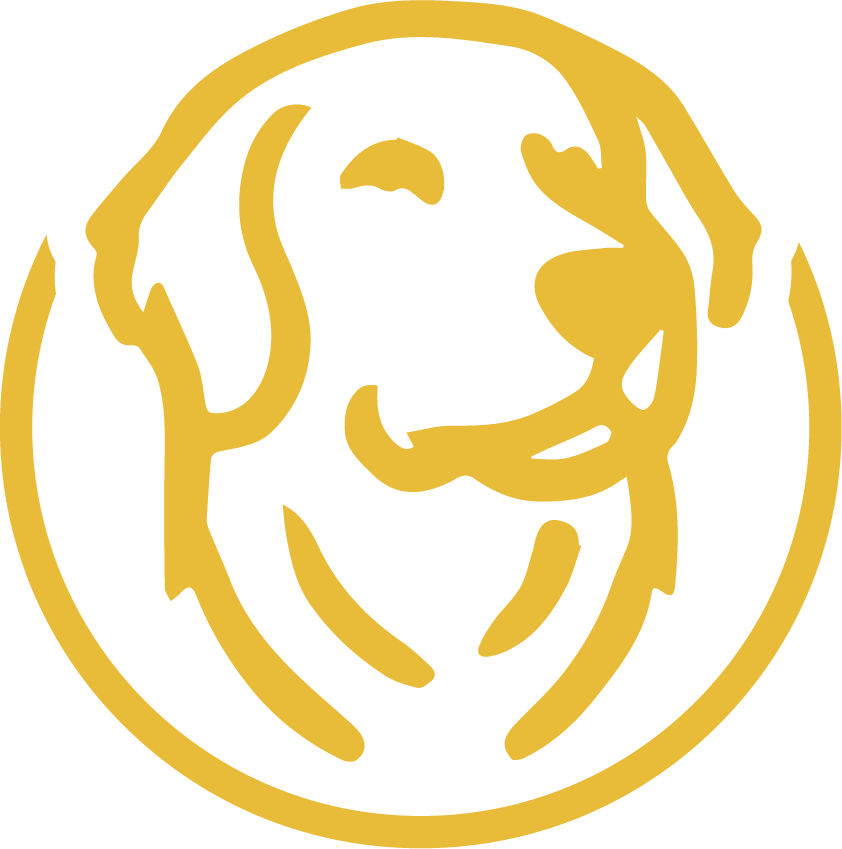 A yellow dog is in a circle on a white background.