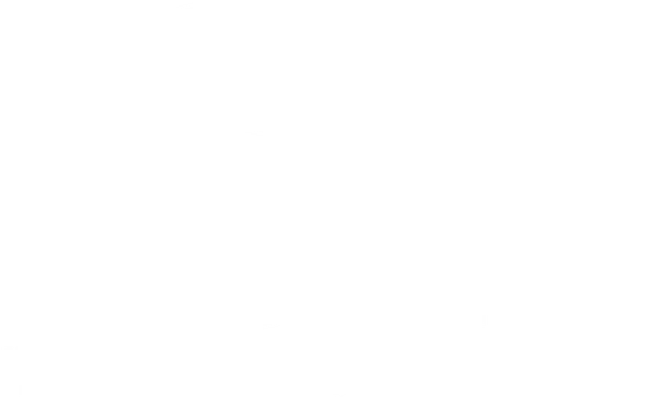 A white background with a few lines on it