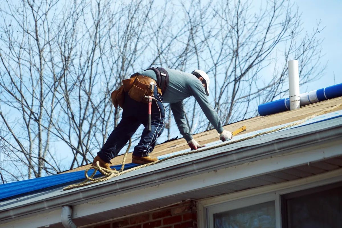Roofer on a roof, leaning over, working. Wearing a tool belt and safety gear; sky and bare tree branches visible.