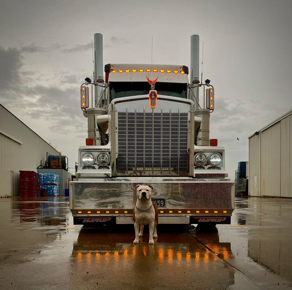 Front View Of The Big Truck With Dog — NQ Freighters In Bohle QLD