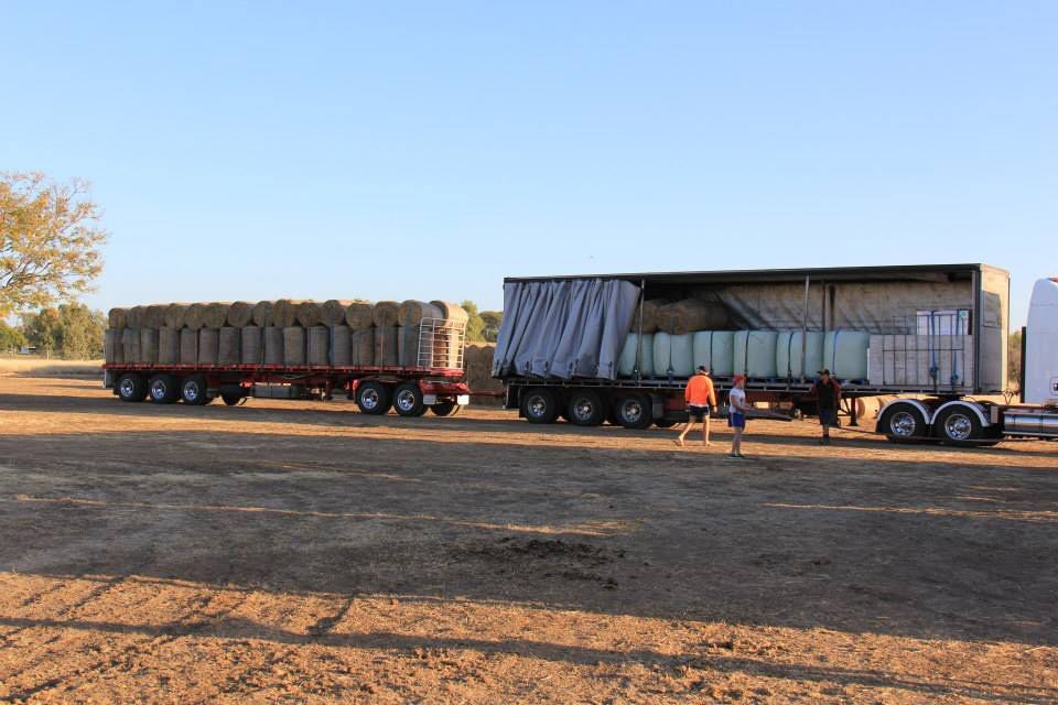 Two Trailers Of Hay Transport — NQ Freighters In Bohle QLD