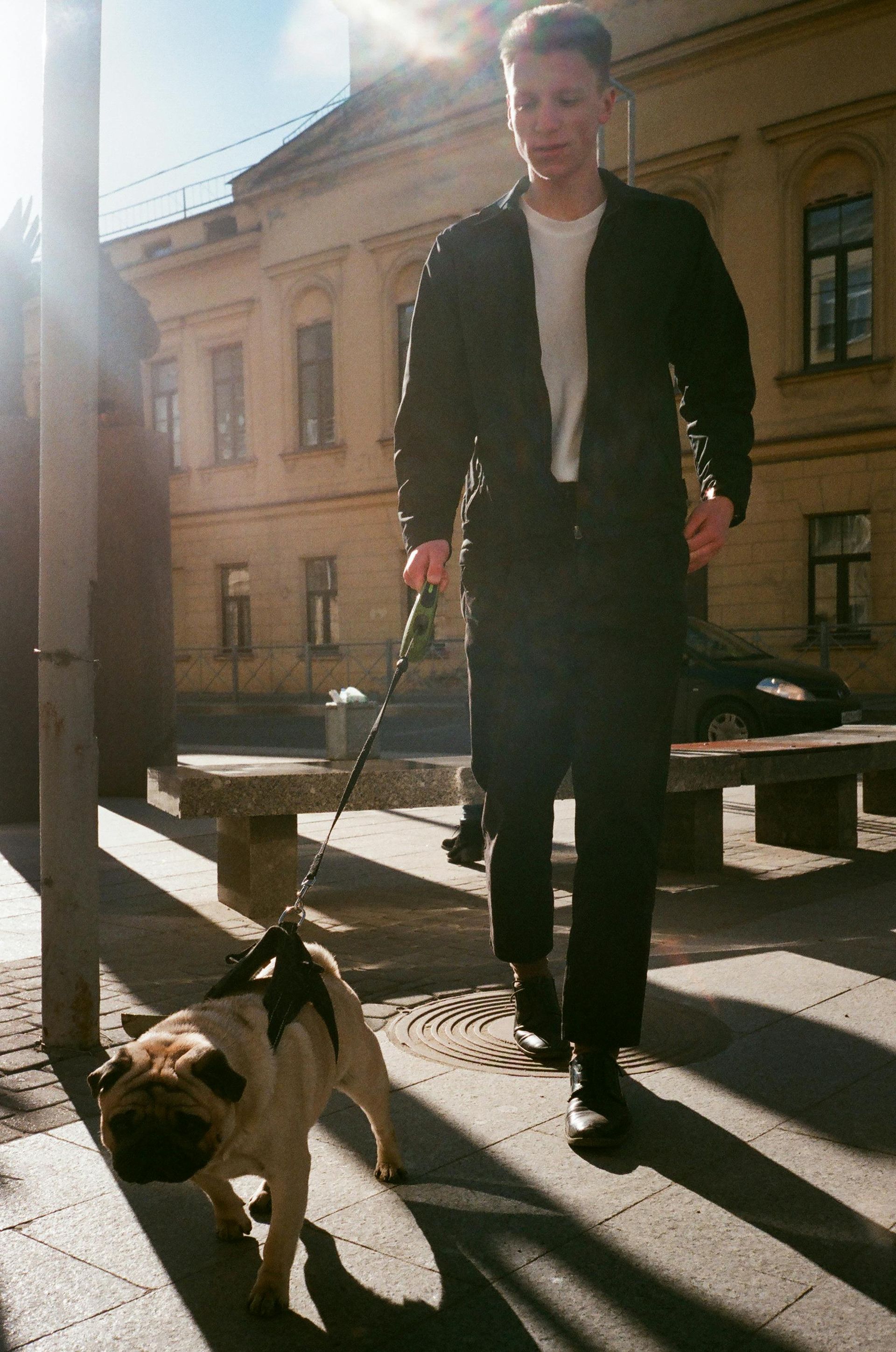 Person walking a dog on a leash outside a building in bright sunlight