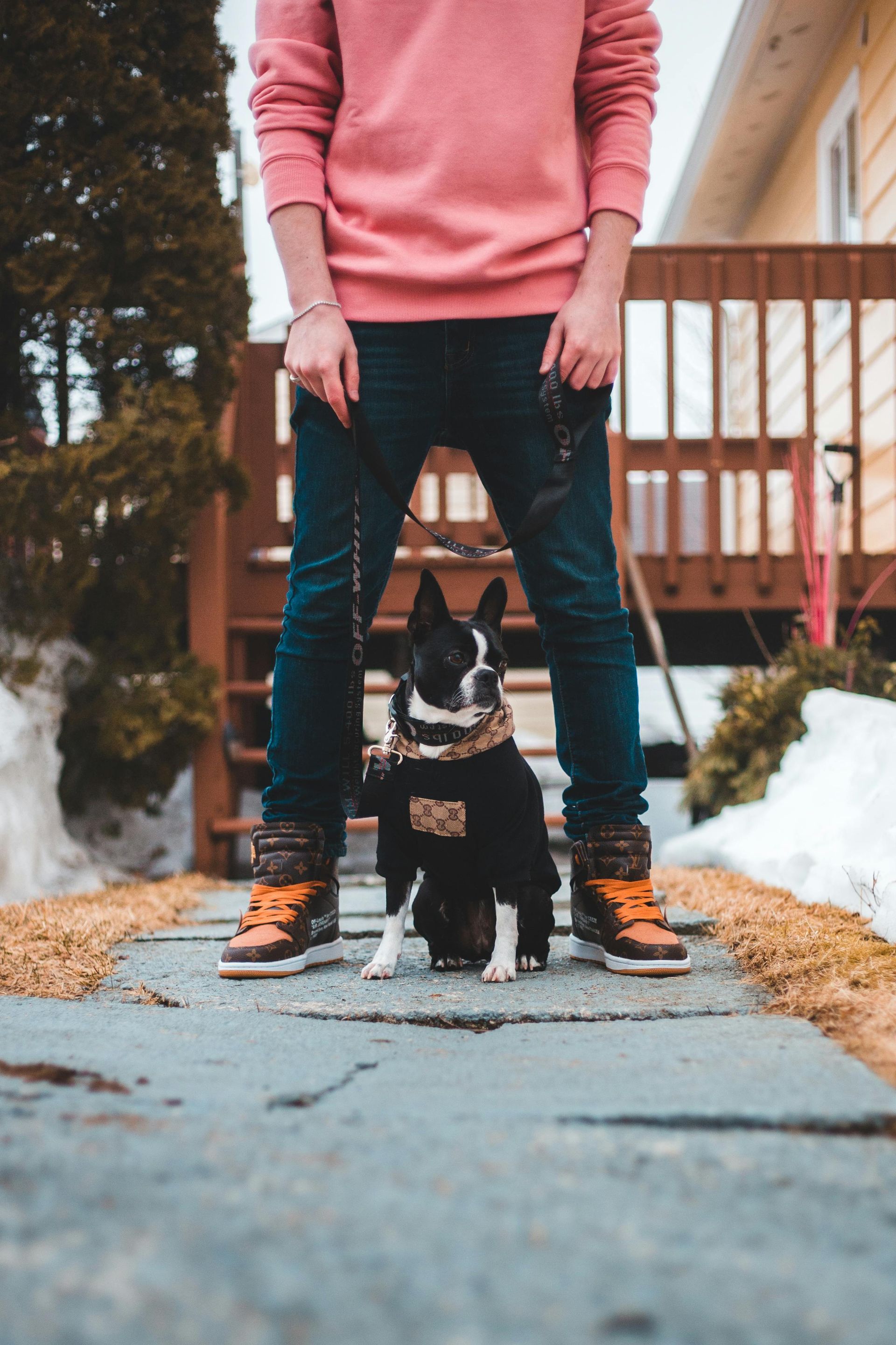 Person standing on a porch with a small black dog between their legs, snow on the ground.
