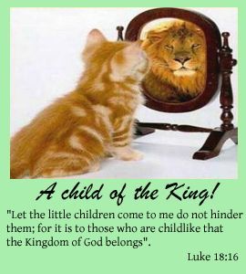 thinkkingdom