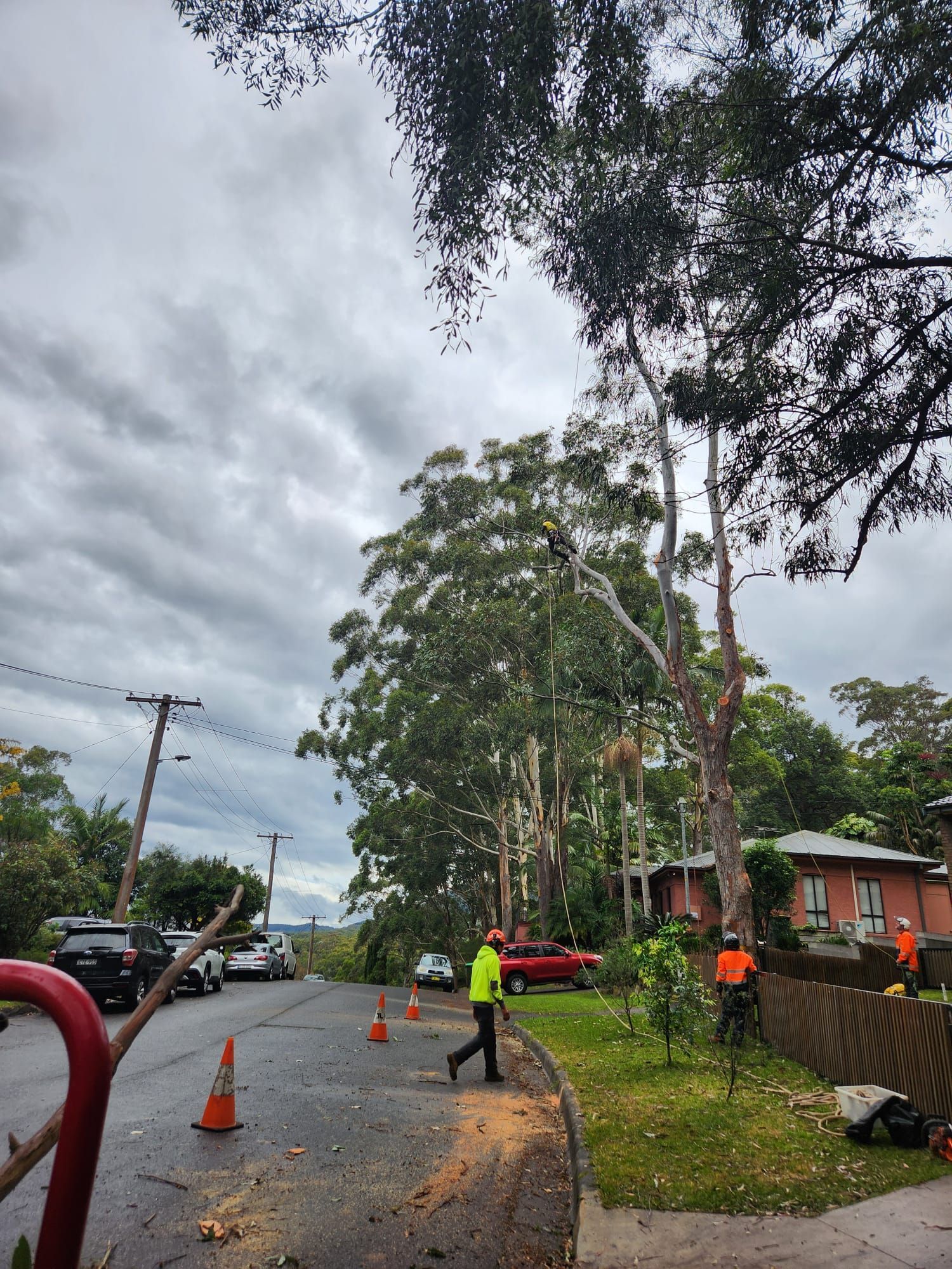 Tree removal on a street with workers wearing orange vests and hard hats. Cloudy sky, cars parked.