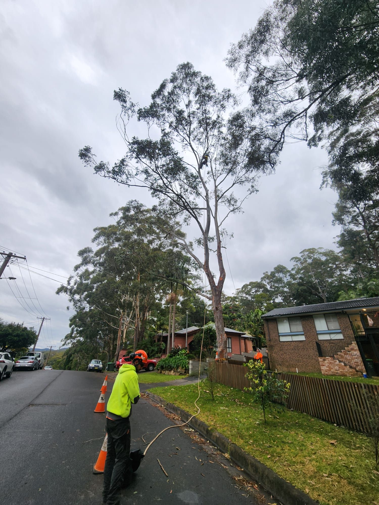 Tree removal in progress on a residential street; workers in safety vests; overcast sky.