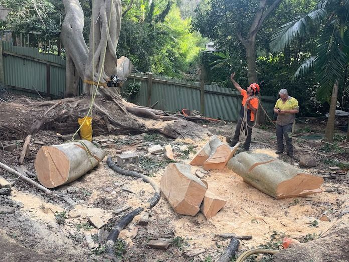 Two workers cutting a large tree trunk with large cut pieces on the ground, in a wooded backyard.