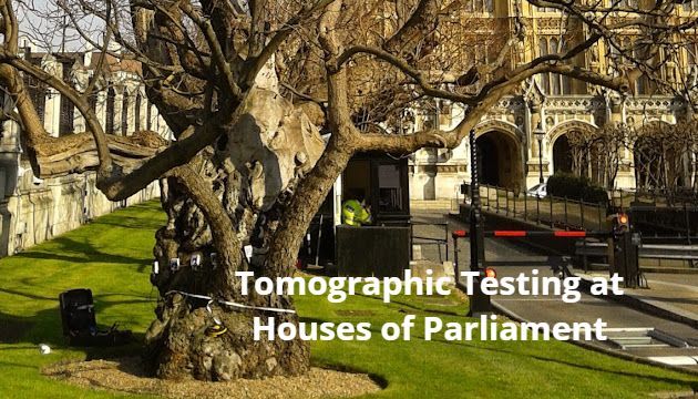 Indian Bean Tree Picus Test at Houses of Parliament Houses of Parliament Tomographic test