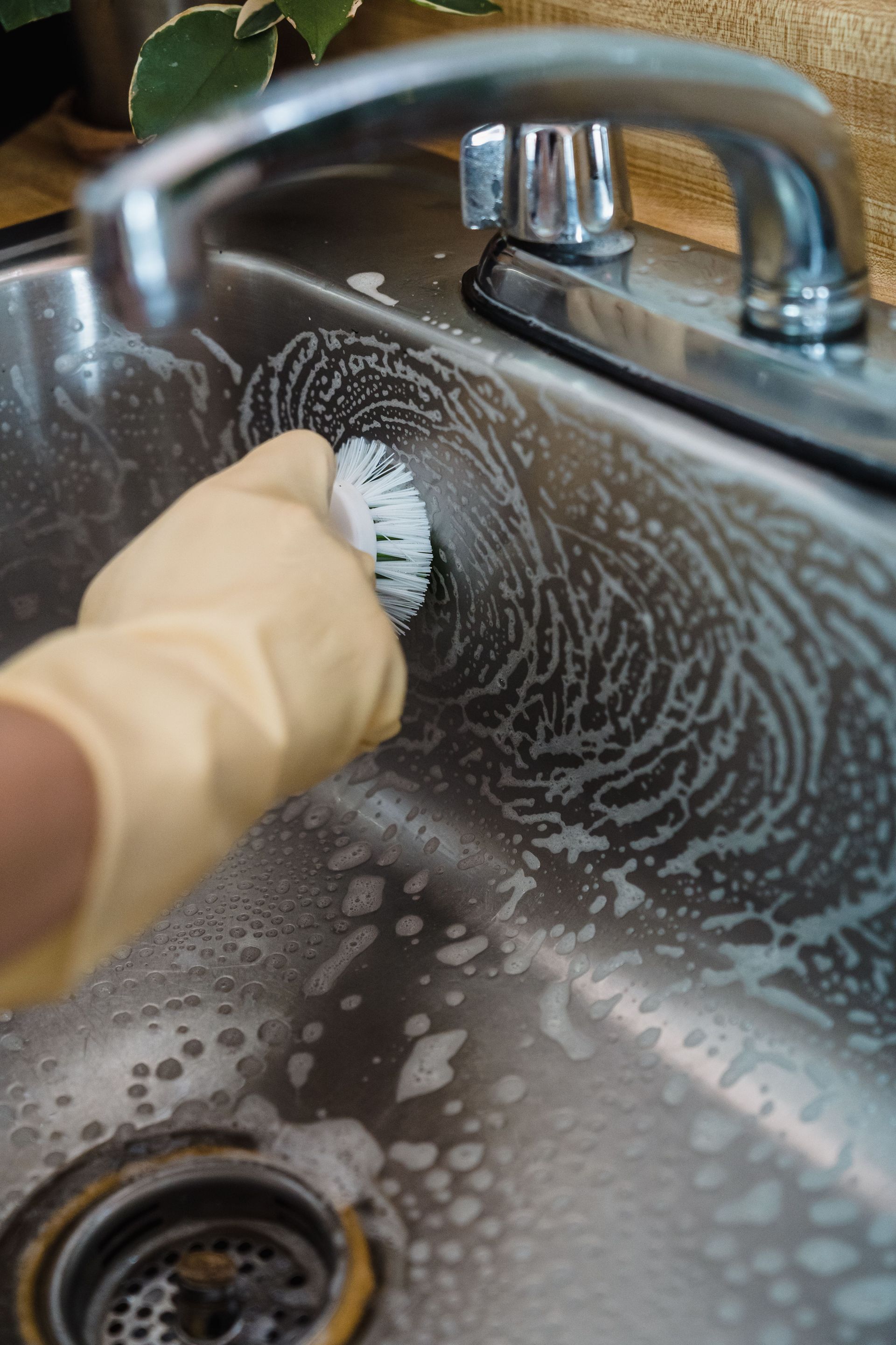 drain cleaning services Ridgefield WA