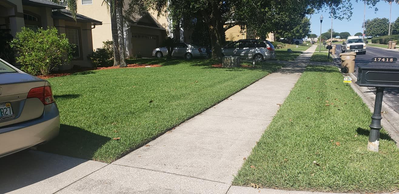 Sunny suburban sidewalk beside houses, lawns, parked cars, and a mailbox along the street.