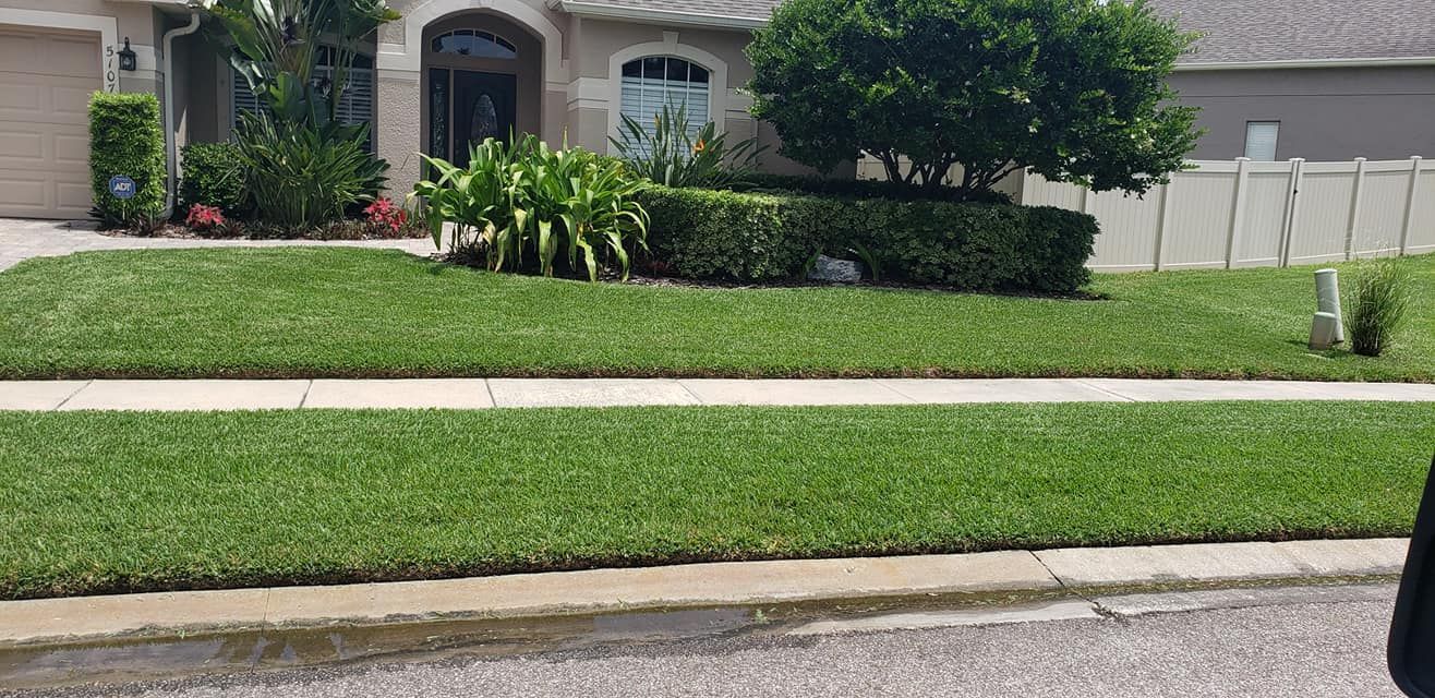 Suburban house with stone facade, green lawn, shrubs, and a sidewalk by the street.