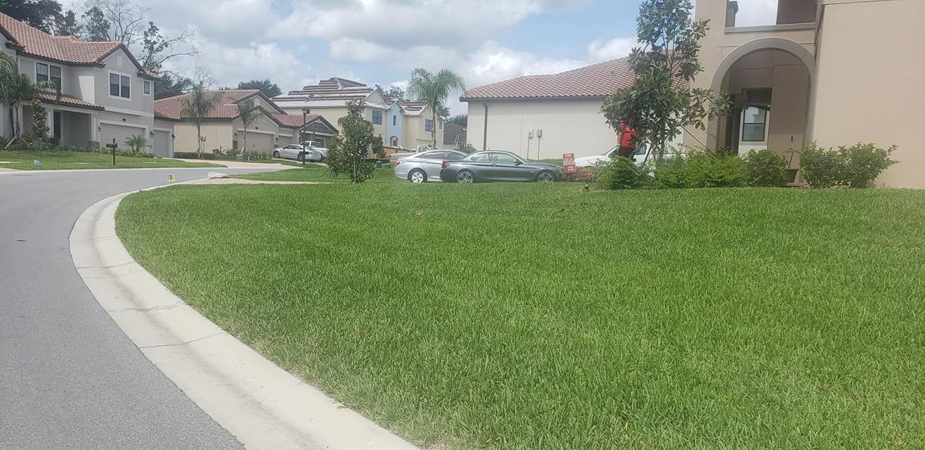 Curved neighborhood street beside a green lawn, with houses and a parked car in the background.