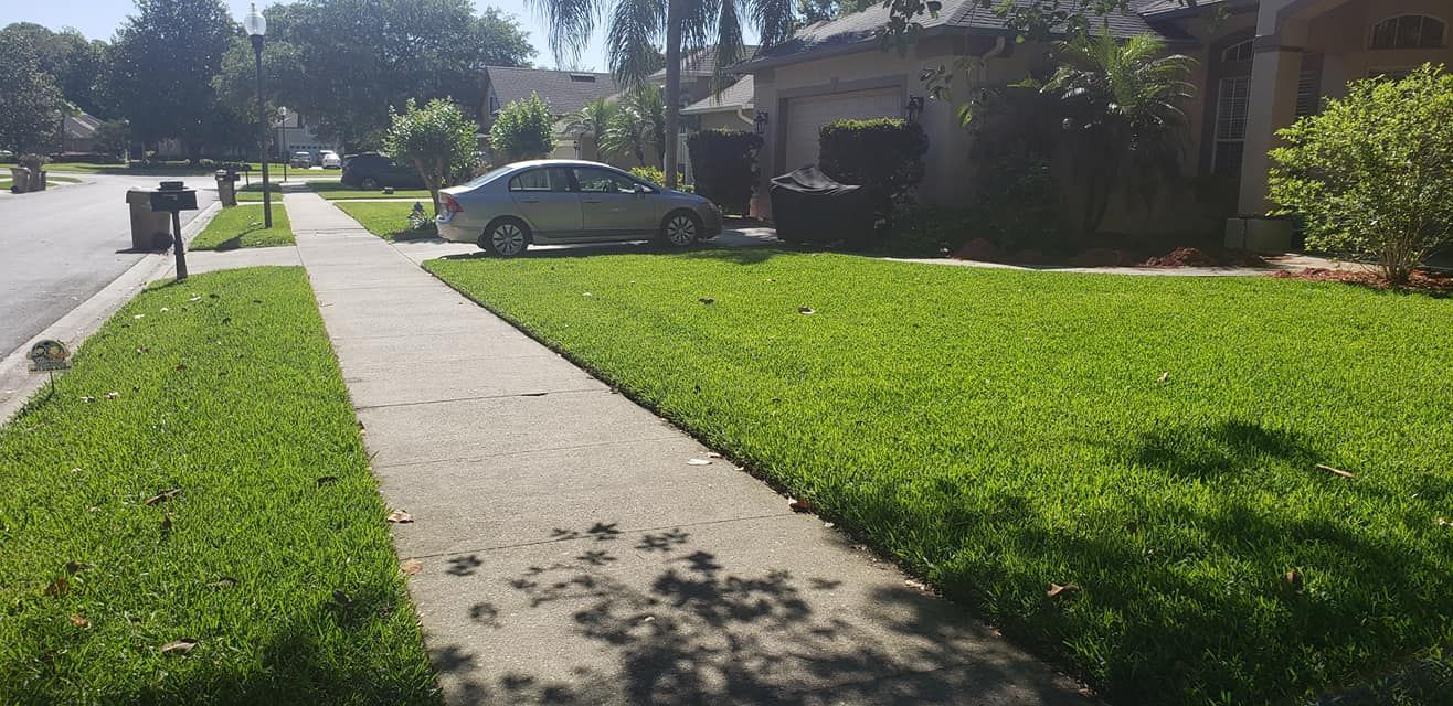 Sunny suburban sidewalk beside a green lawn and a parked car in front of a house