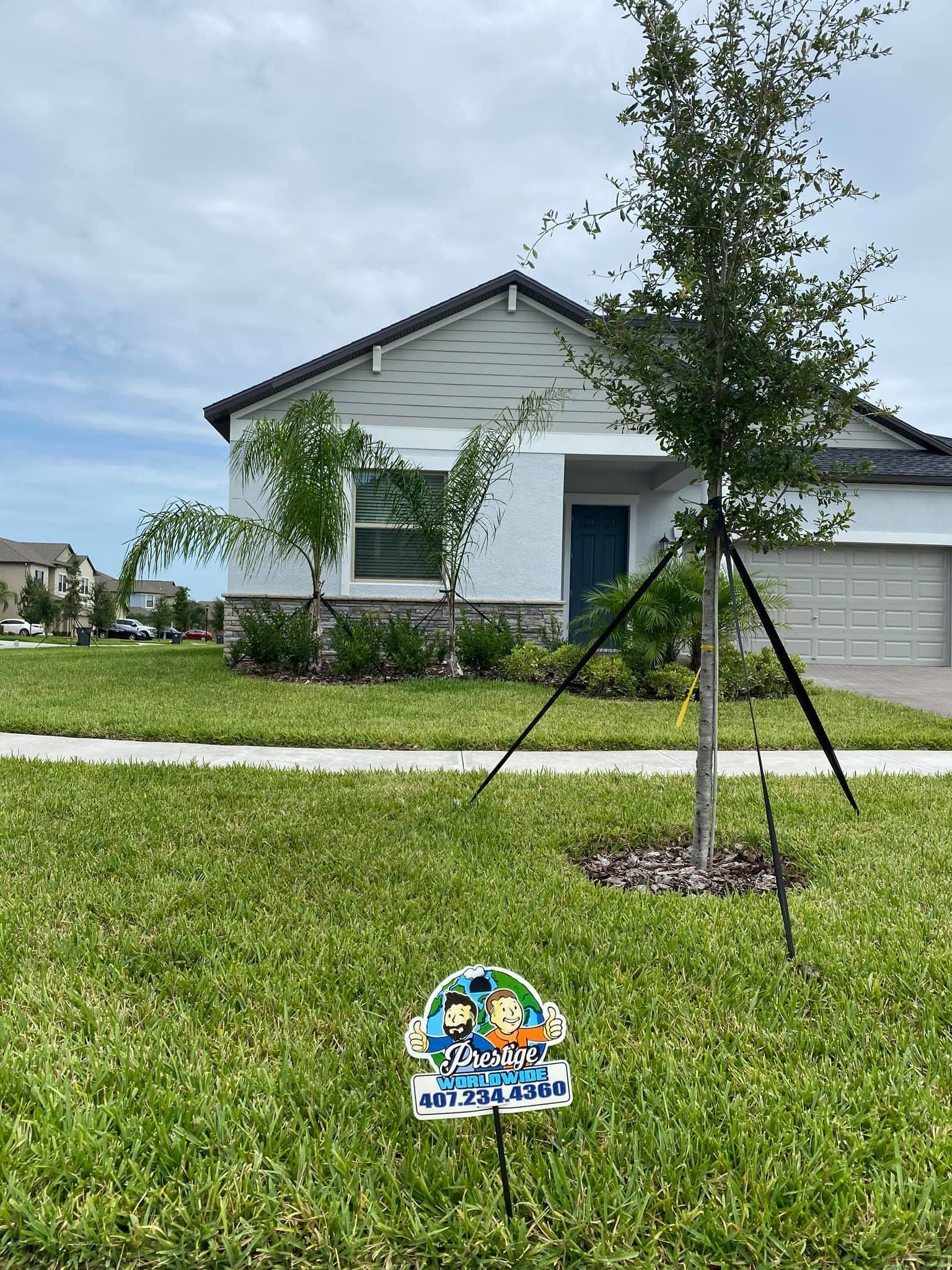 Suburban house with a young tree in a landscaped lawn and a small sign in the foreground