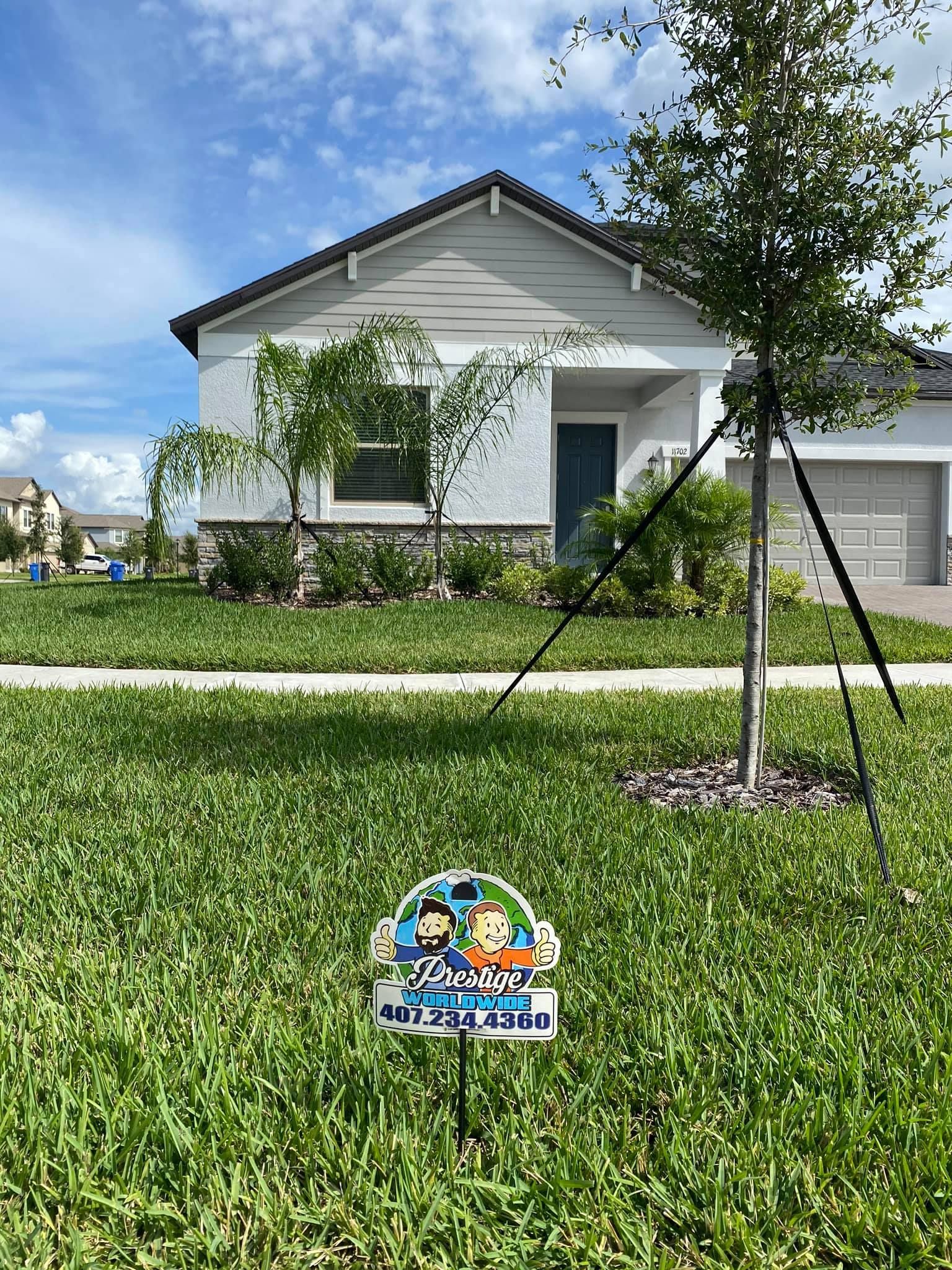 Small white house with green lawn and young tree under a blue sky.
