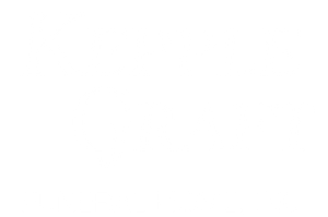 logo-image