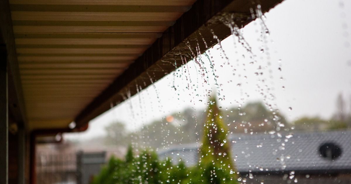 Water leaks from the underside of a roof gutter. The droplets fall in front of a blurred view.
