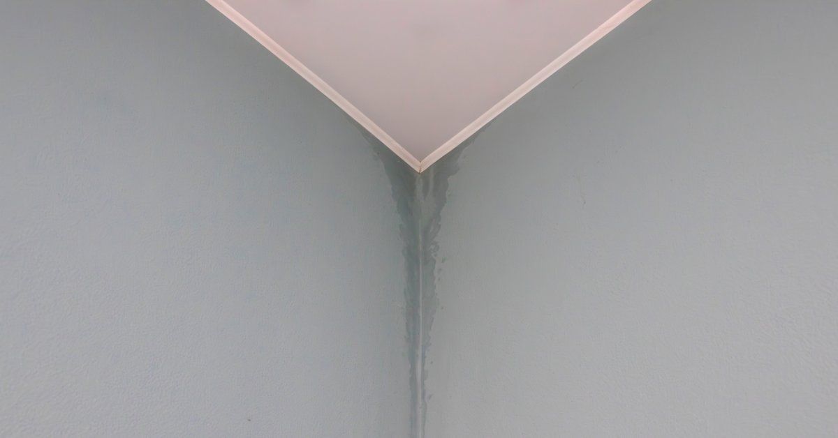 A dark vertical water stain runs along the corner where two blue-gray walls meet. It starts at the ceiling trim.
